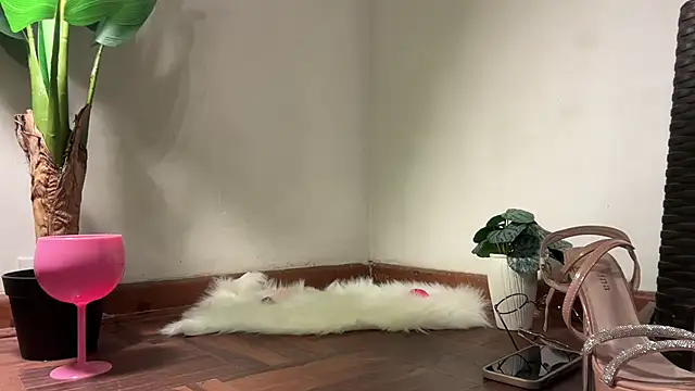 Snapshot of valeria_lokitasexy chatting on 02-02-26, 03:16 valeria lokitasexy online show from 02-02-26, 03:16