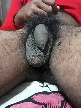 Nishu12356g online show from 01-13-25, 07:53