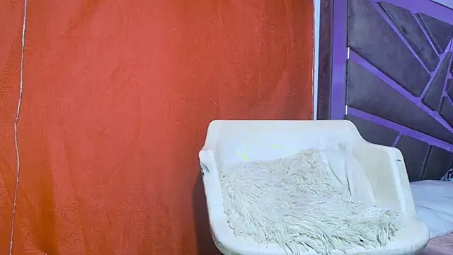 roxana collins online show from 09-21-25, 09:25