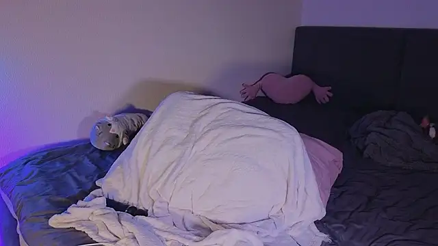 Snapshot of shey1i chatting on 02-11-26, 06:19 shey1i online show from 02-11-26, 06:19