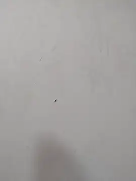 Snapshot of Rafaelayamazaki chatting on 12-18-25, 12:09 Rafaelayamazaki online show from 12-18-25, 12:09