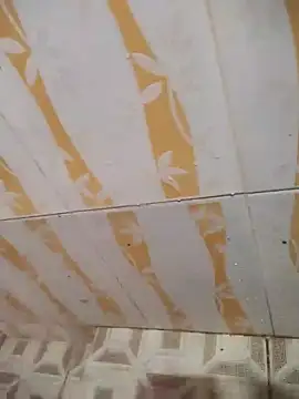 Sanjaymartin29 online show from 02-06-25, 03:37