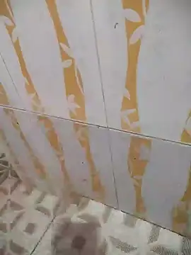 Sanjaymartin29 online show from 12-29-24, 04:48