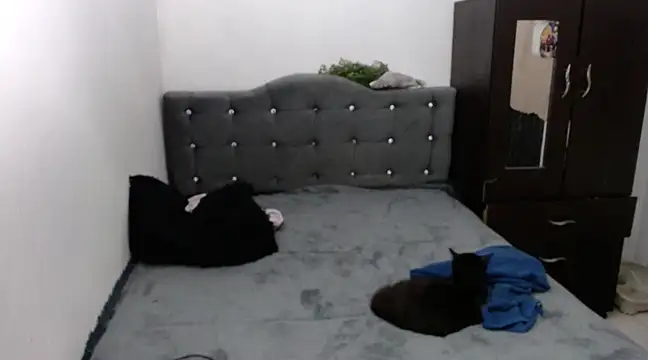 xx nath xx online show from 12-06-24, 02:40