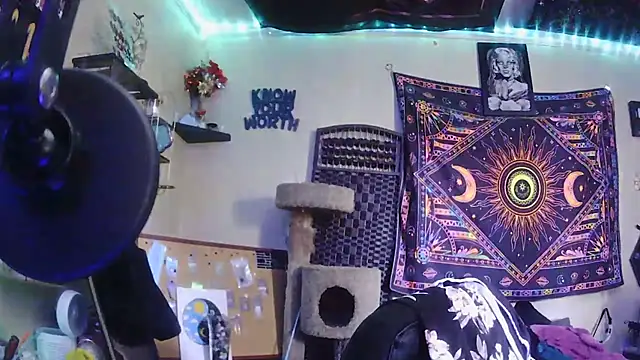 spunlikecottoncandy online show from 03-31-26, 08:00