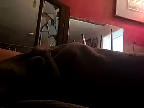 JRock69nKzoo online show from 11-12-25, 11:58