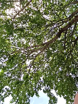 SkyelarSommer online show from 04-13-26, 07:07