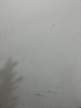 croftsmila online show from 12-19-25, 11:29