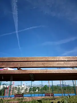 bellapaty online show from 04-17-26, 08:50