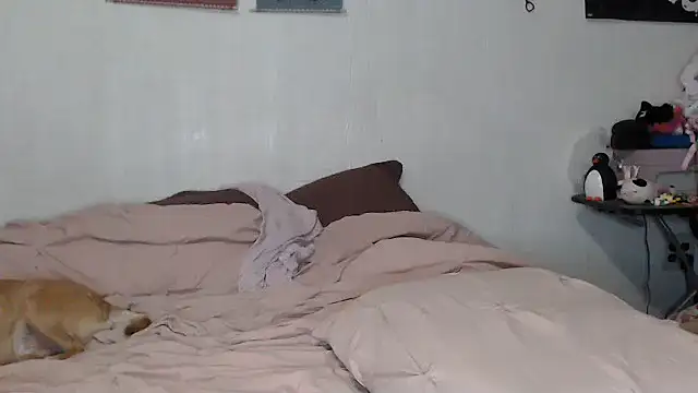 Cupcakecutie449 online show from 11-09-25, 08:07