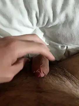 69Torre69 online show from 01-11-26, 04:14