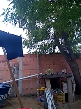 magrinhosafadao online show from 10-28-25, 08:46