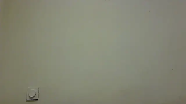 feline27 online show from 11-08-25, 08:56