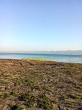 parabellumm online show from 09-24-25, 02:56