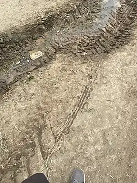 parabellumm online show from 04-17-26, 01:58