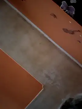 ducicsajsziii online show from 11-29-25, 02:17