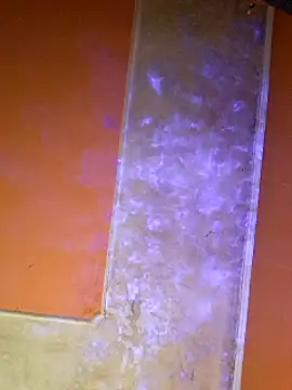 ducicsajsziii online show from 03-07-25, 08:33