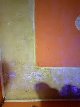 ducicsajsziii online show from 03-15-25, 01:29