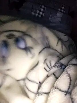 Snapshot of bruna_safadinhaa chatting on 02-17-25, 09:56 bruna safadinhaa online show from 02-17-25, 09:56