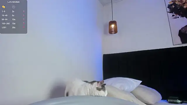 dolly zoe online show from 03-07-26, 07:19