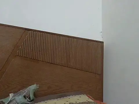 shekira99 online show from 11-12-25, 03:05