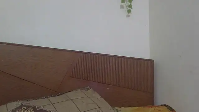 Snapshot of shekira99 chatting on 07-22-26, 04:14 shekira99 online show from 07-22-26, 04:14