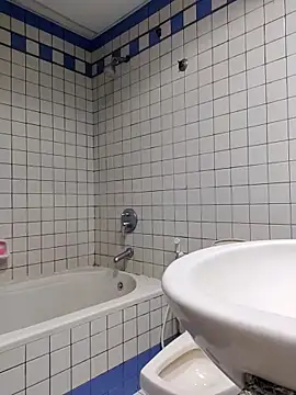 ZIMMY25 online show from 04-09-26, 06:04