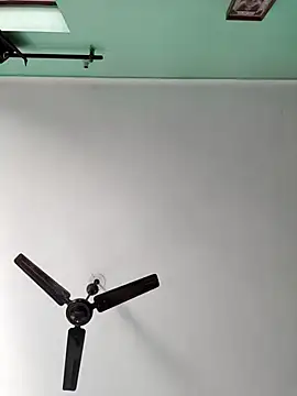 ZIMMY25 online show from 11-18-25, 03:54