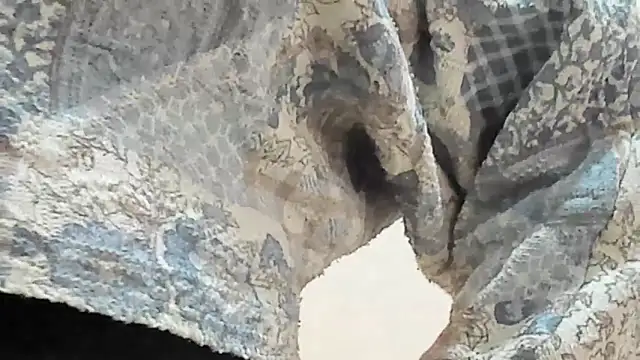 BRENDA SEXY69 online show from 03-07-26, 05:07