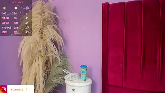 Shanelle   online show from 04-07-26, 02:19