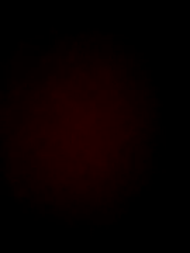 Chris8149 online show from 02-19-25, 04:00