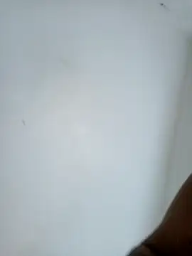 casal7722 online show from 02-10-26, 03:00