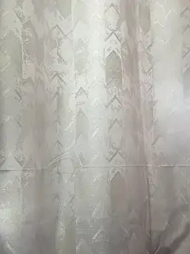 Alahia Rodriguez online show from 11-29-25, 08:31