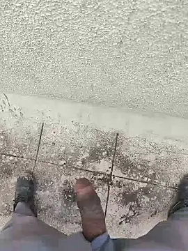 samlord261 online show from 11-05-25, 11:35