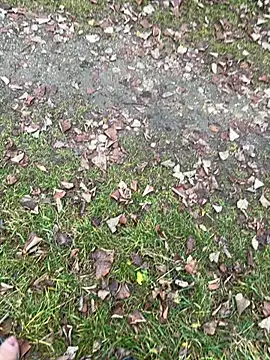 Aronn4 online show from 11-12-25, 08:07