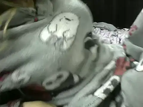 Snapshot of Paulita_x3 chatting on 09-11-25, 11:54 Paulita x3 online show from 09-11-25, 11:54