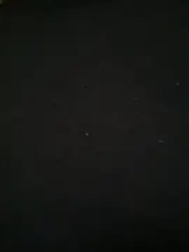 Ruby bear online show from 03-08-25, 08:55