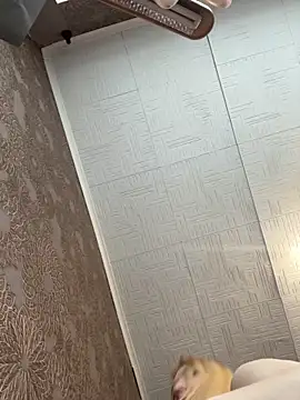 AmmyHot online show from 11-05-25, 04:04