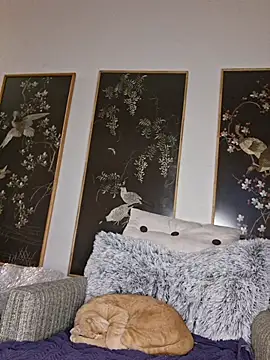 Hotbodyscottie online show from 02-01-26, 12:03