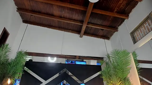 emily-fox online show from 04-14-26, 11:04