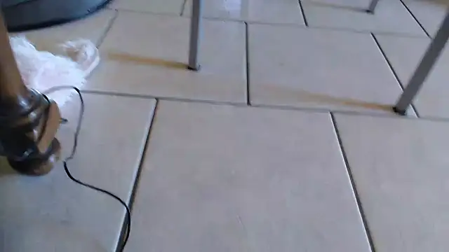 69porcellone69 online show from 10-02-25, 07:01