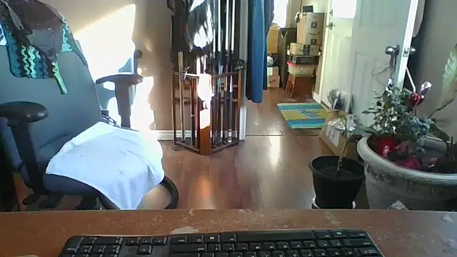 Daremeknot online show from 03-10-25, 01:54