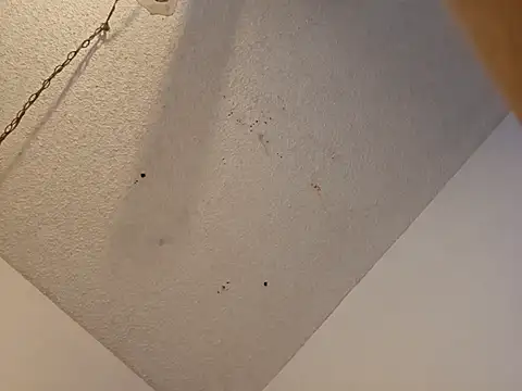 anyway2cum online show from 01-19-25, 02:59