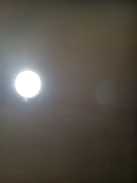 TrainedFinder5 online show from 10-16-25, 02:09