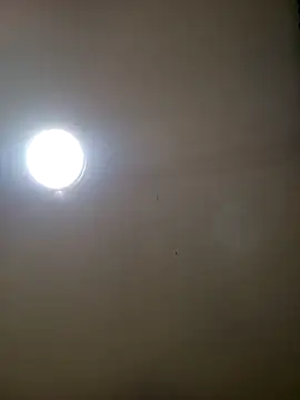 TrainedFinder5 online show from 11-14-25, 11:19