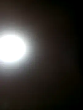 TrainedFinder5 online show from 10-09-25, 03:18