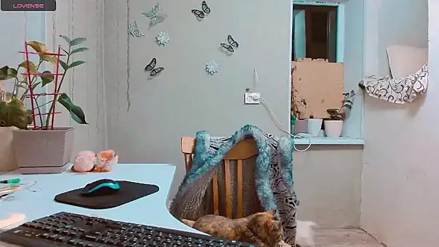 RosaJil online show from 01-15-25, 07:44