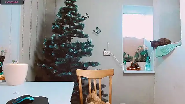 RosaJil online show from 12-13-24, 01:55