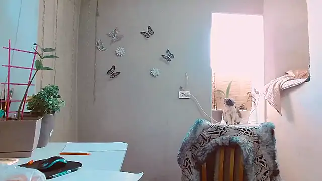 RosaJil online show from 02-12-25, 01:48