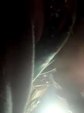 Followthepiper online show from 11-02-25, 09:25